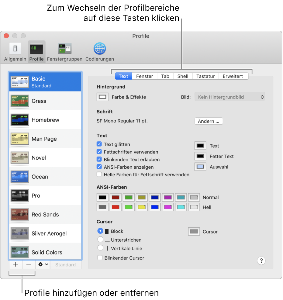Der Bereich „Profile“ in den Terminal-Einstellungen mit ausgewähltem Profil „Basic“, Tasten zum Hinzufügen und Entfernen von Profilen und Tasten zum Wechseln von Profilbereichen