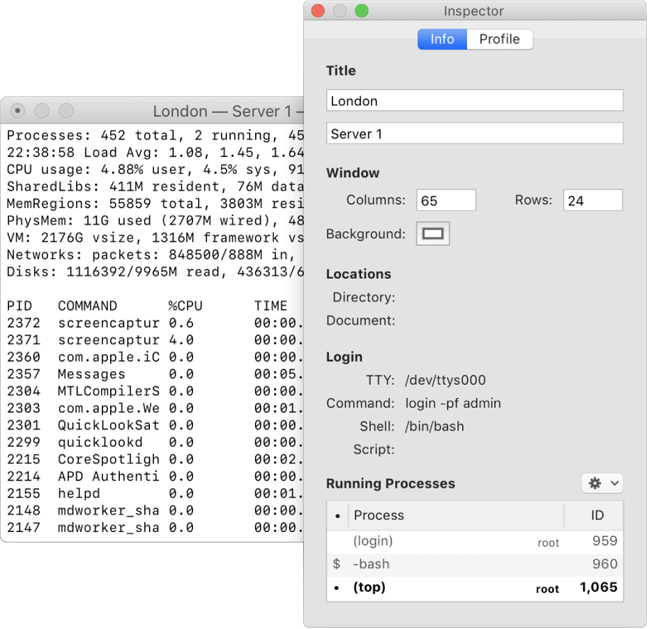 The Inspector pane in Terminal.