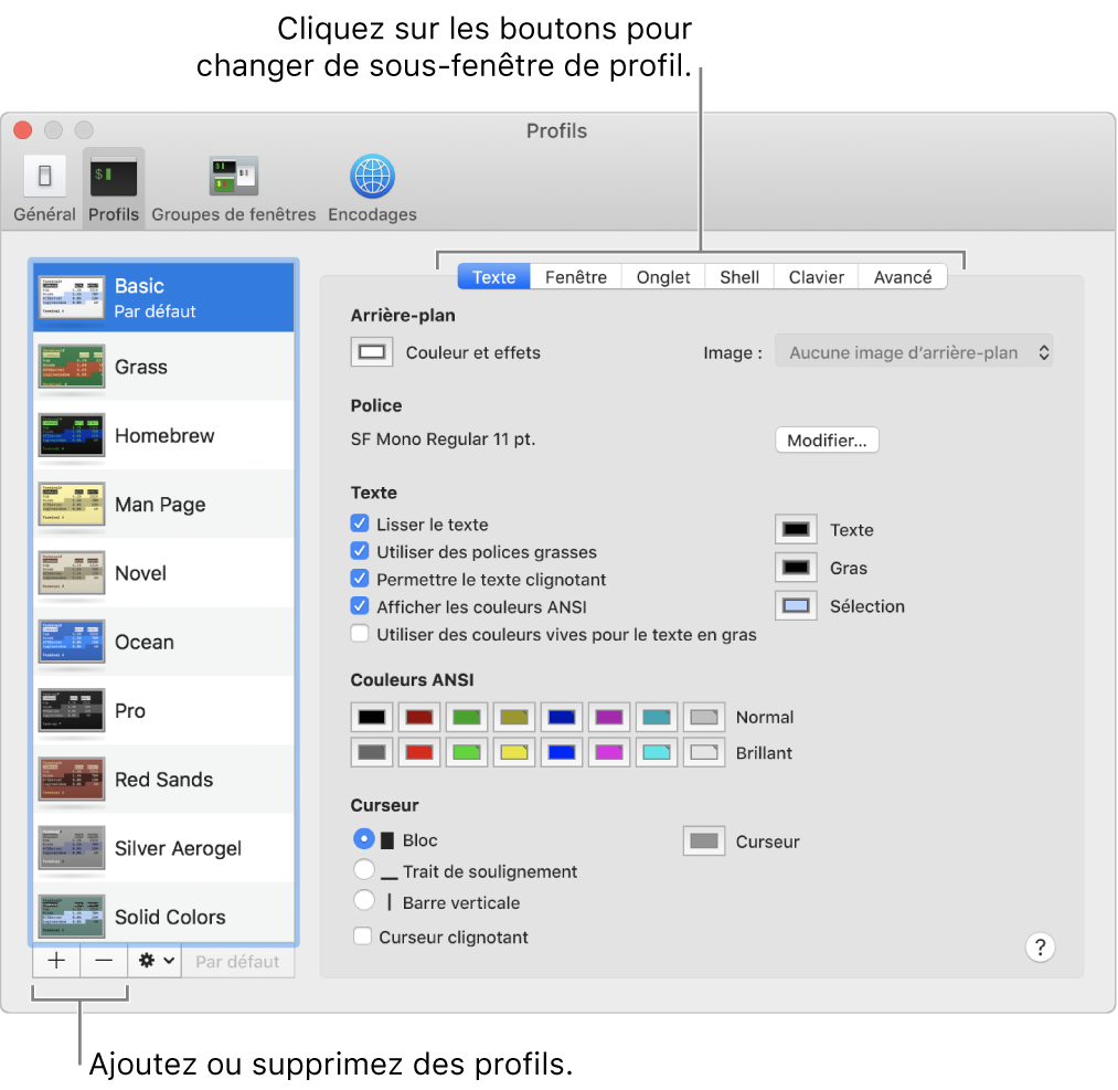 La sous-fenêtre Profils de Terminal présentant le profil Basic sélectionné, des boutons pour ajouter et supprimer des profils, ainsi que des boutons permettant de changer de sous-fenêtre de profils.