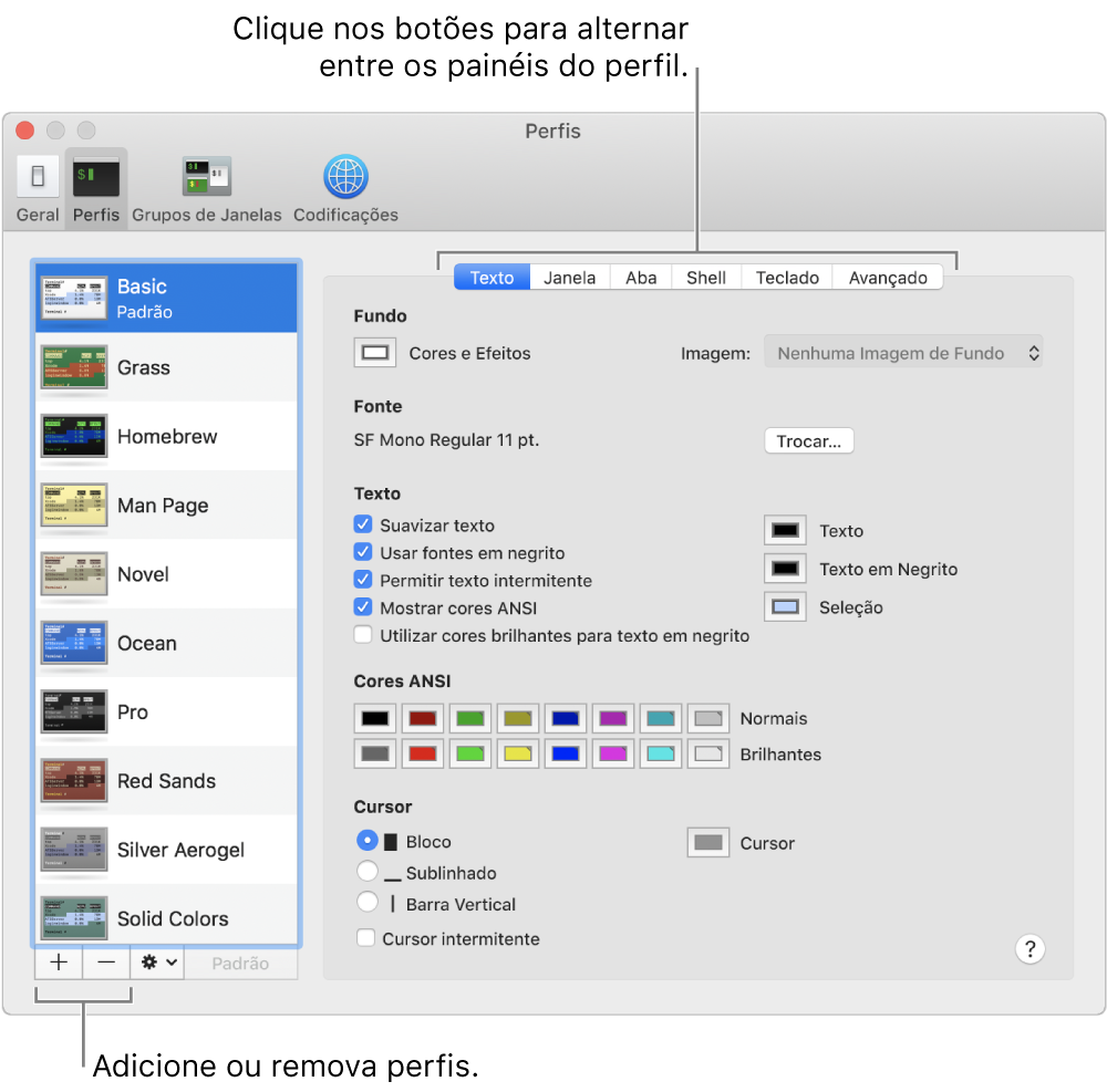 O painel Perfis do Terminal mostrando o perfil Básico selecionado, botões para adicionar e remover perfis e os botões usados para alternar os painéis de perfil.