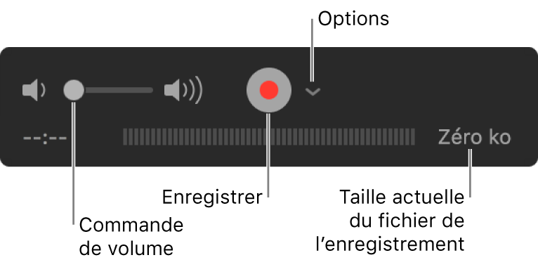 Les commandes d’enregistrement, notamment le contrôle du volume et le bouton Enregistrer, et le menu contextuel Options.