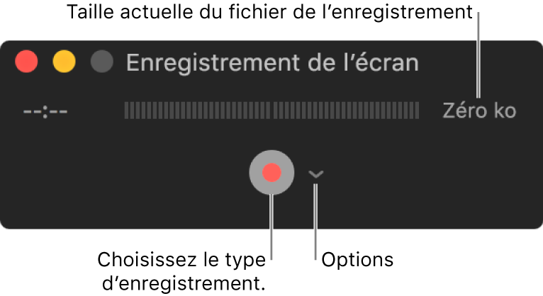 La fenêtre Enregistrement de l’écran avec le bouton Enregistrer en bas et le menu local Options à côté.