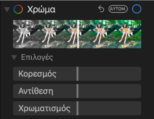 Η περιοχή «Χρώμα» στο τμήμα «Προσαρμογή» που δείχνει ρυθμιστικά για «Κορεσμός», «Αντίθεση» και «Χρωματισμός».