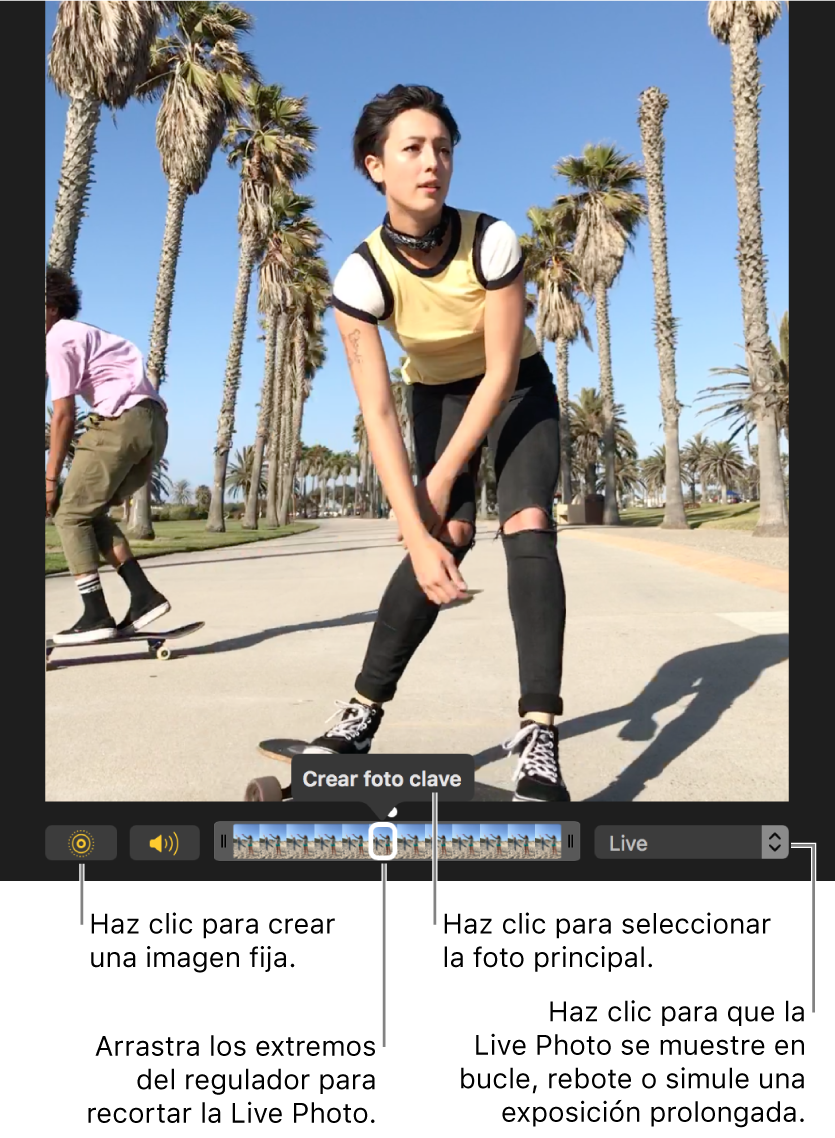 Una Live Photo en la vista de edición con un regulador debajo de ella que muestra los fotogramas de la foto. El botón “Live Photo” y el botón Altavoz se encuentran a la izquierda del regulador, y a la derecha hay un menú desplegable que puedes utilizar para añadir un efecto de bucle, de rebote o de larga exposición.