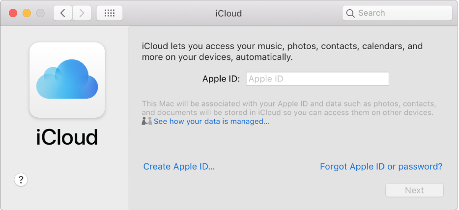 iCloud preferences, ready for entry of an Apple ID name and password.