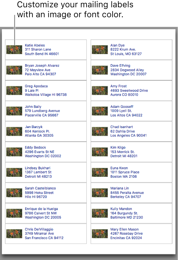A preview of mailing labels, customized with an image and font color and ready to print.
