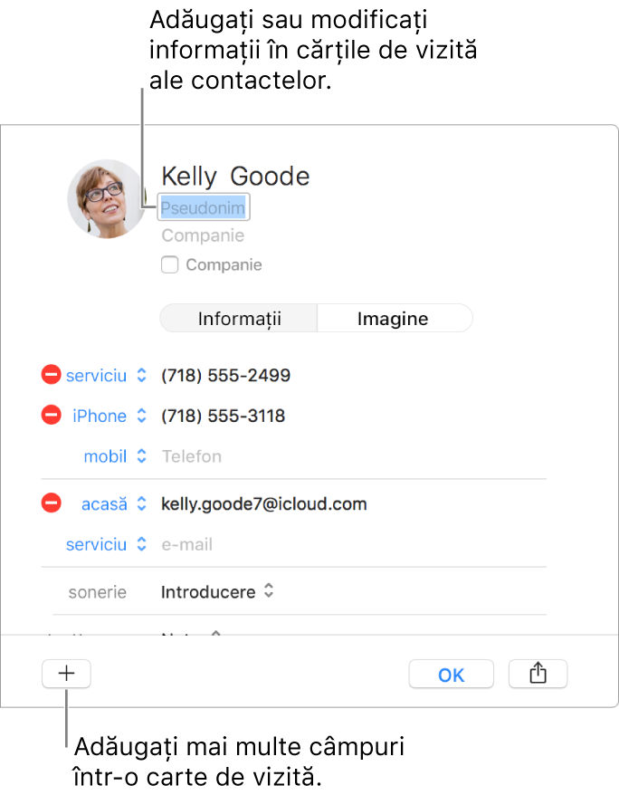 O carte de vizită afișând câmpul de pseudonim sub numele contactului și un buton în partea de jos a ferestrei pentru a adăuga mai multe câmpuri în cartea de vizită.