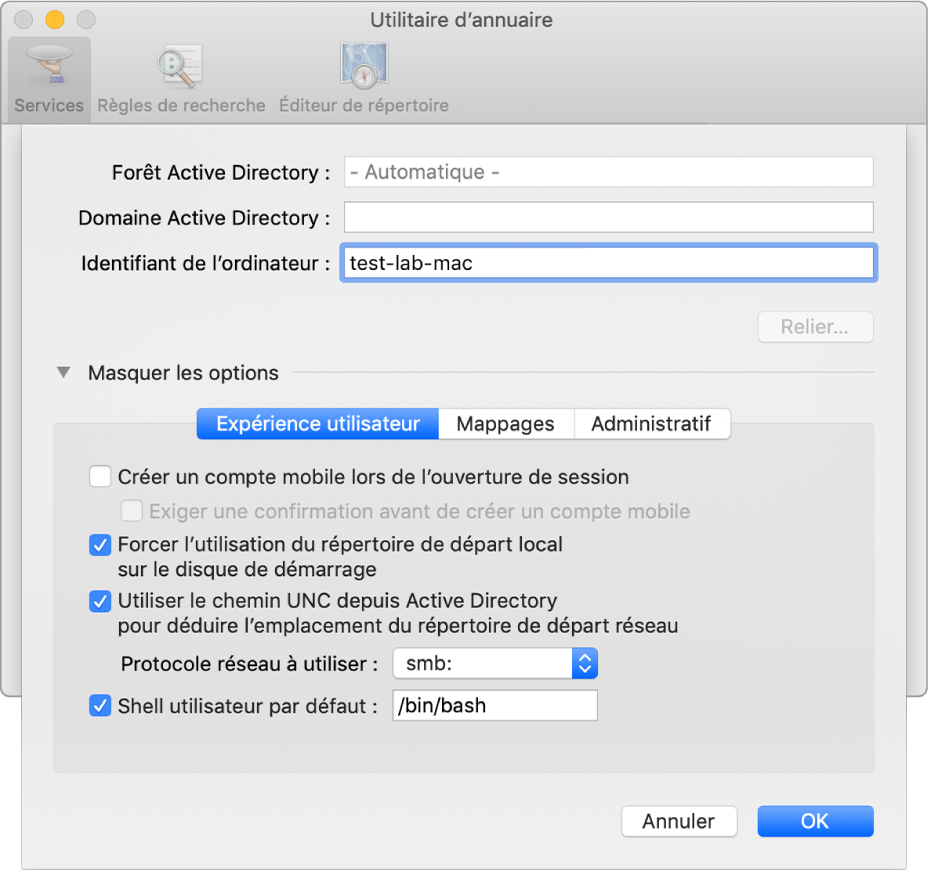 Zone de dialogue de configuration Active Directory avec la section relative aux options développée.