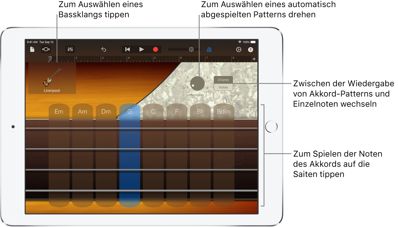 Touch-Instrument „Bass“