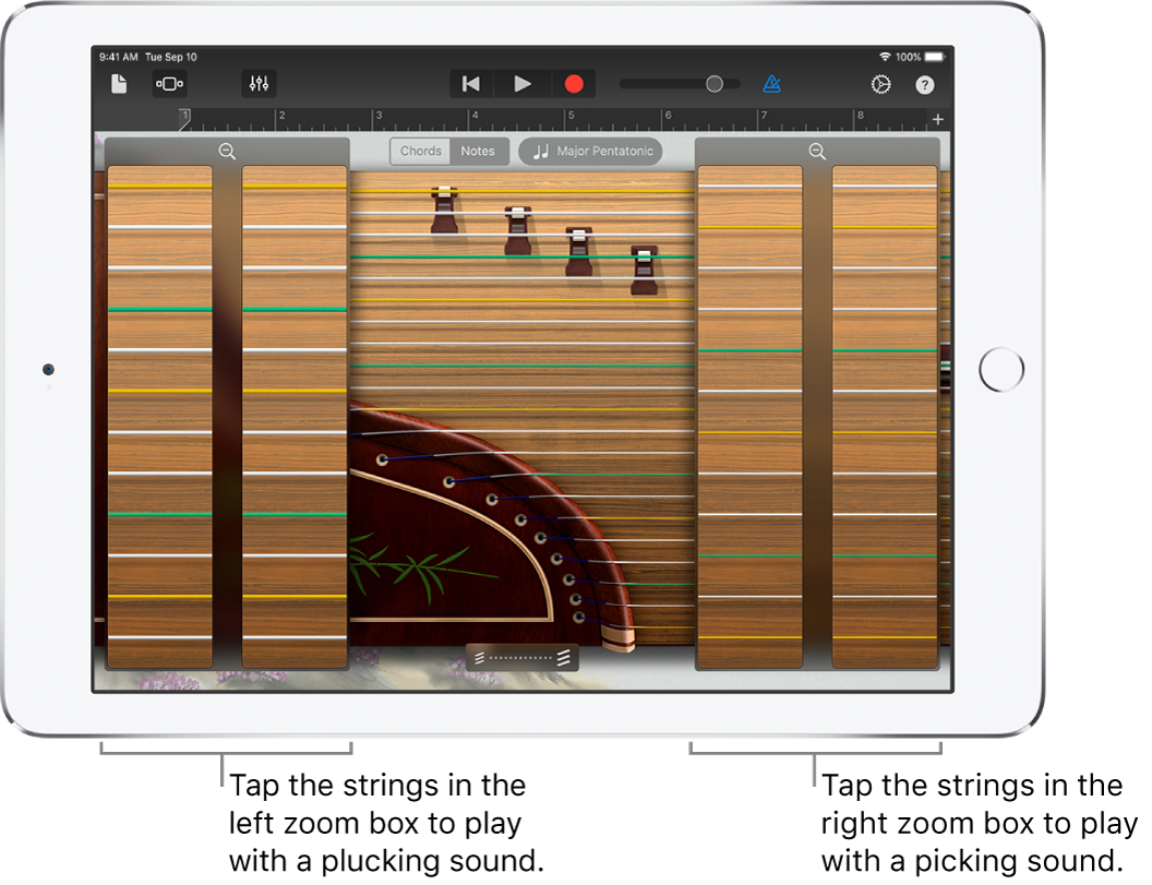 Guzheng zoom boxes