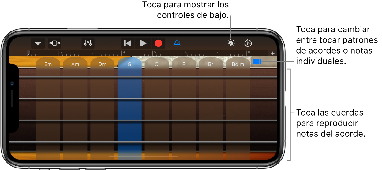 Instrumento táctil Bajo