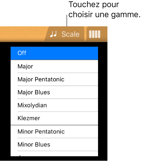 Bouton Gamme de guitare
