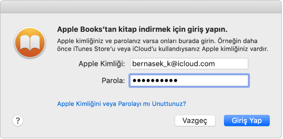 Apple kimliği ve parola kullanarak giriş yapma sorgu kutusu.