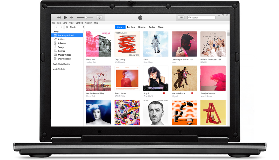 The iTunes window with a library of multiple albums.