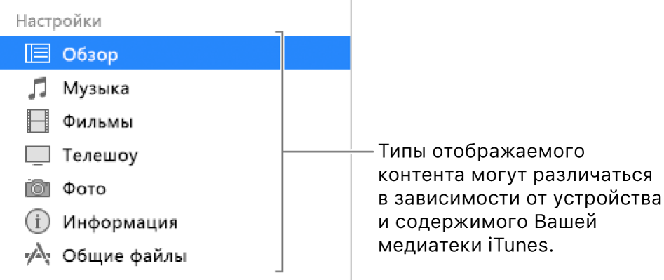 Вкладка «Обзор» выбрана в боковом меню слева. Типы отображаемого контента могут различаться в зависимости от устройства и содержимого Вашей медиатеки iTunes.