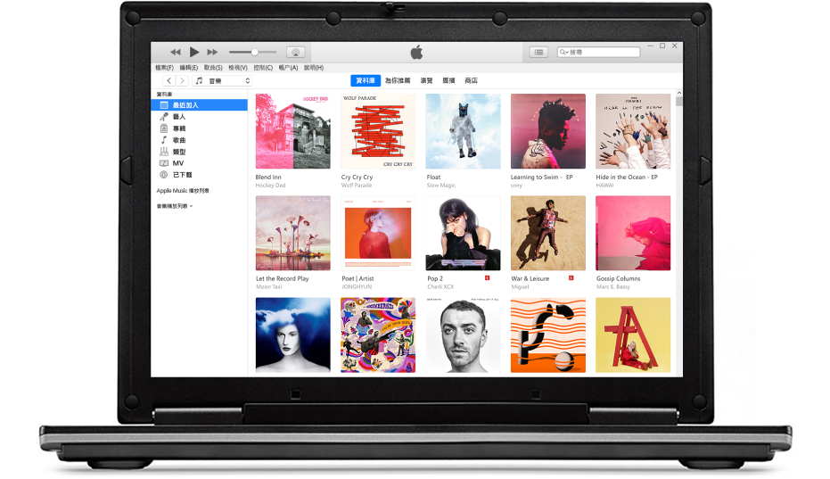 顯示多個專輯iTunes 視窗