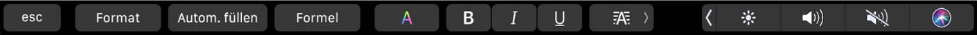 Die Numbers-Touch Bar mit den Tasten „Format“, „Automatisch Ausfüllen“ und „Formel“ Sie umfasst auch Textformatierungstasten für Farben, fette Schrift, Kursivschrift, Unterstreichen und Textausrichtung.