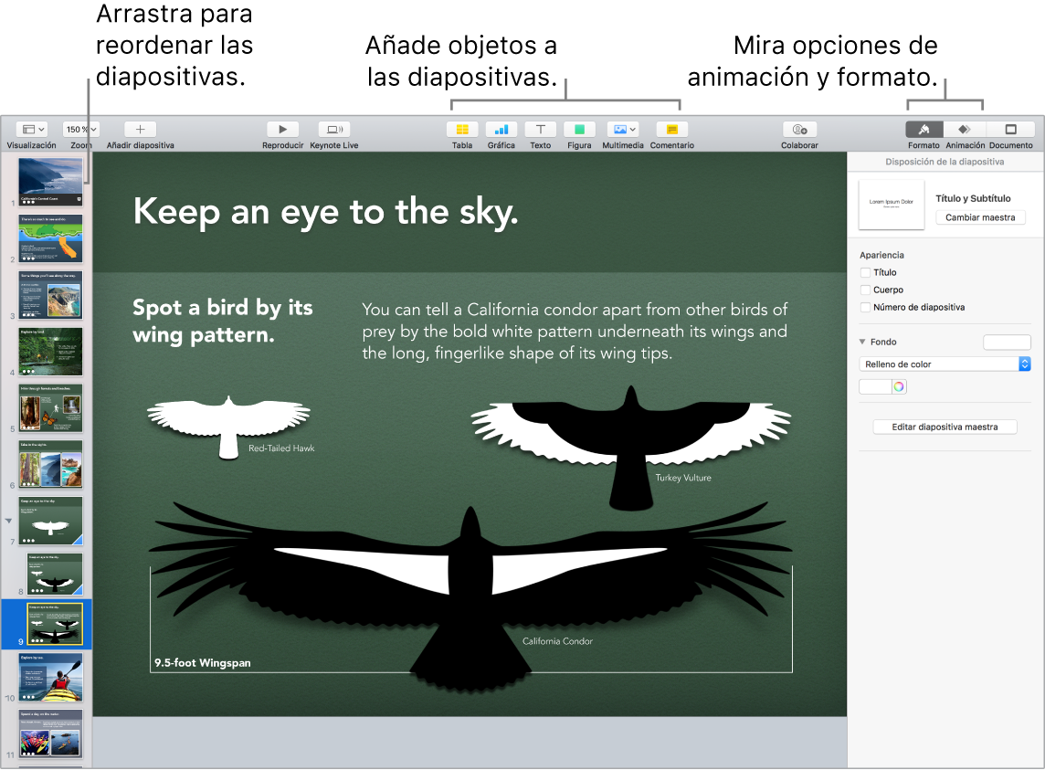 Ventana de Keynote donde se muestra cómo reordenar diapositivas y se identifican los botones que te permiten añadir objetos a las diapositivas y seleccionar opciones de formato y animación.