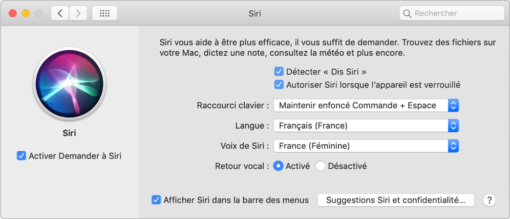 La fenêtre des préférences Siri, avec l’option Activer Demander à Siri sélectionnée à gauche et plusieurs options pour personnaliser Siri à droite, notamment Détecter « Dis Siri ».