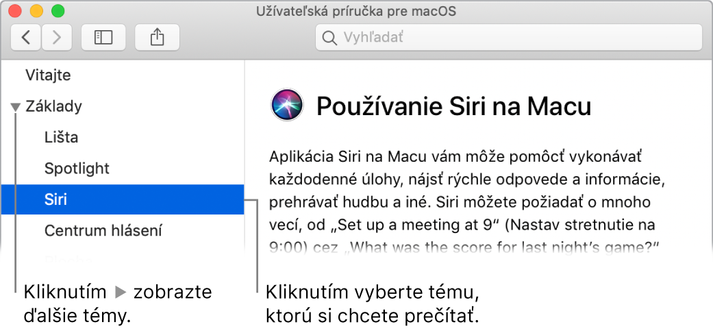 Prehliadač Pomocníka znázorňujúci spôsob zobrazenia tém z postranného panela a spôsob zobrazenia obsahu témy.