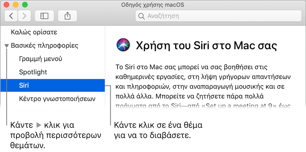 Η προβολή Βοήθειας στην οποία φαίνεται ο τρόπος προβολής θεμάτων στην πλαϊνή στήλη και ο τρόπος εμφάνισης του περιεχομένου ενός θέματος.