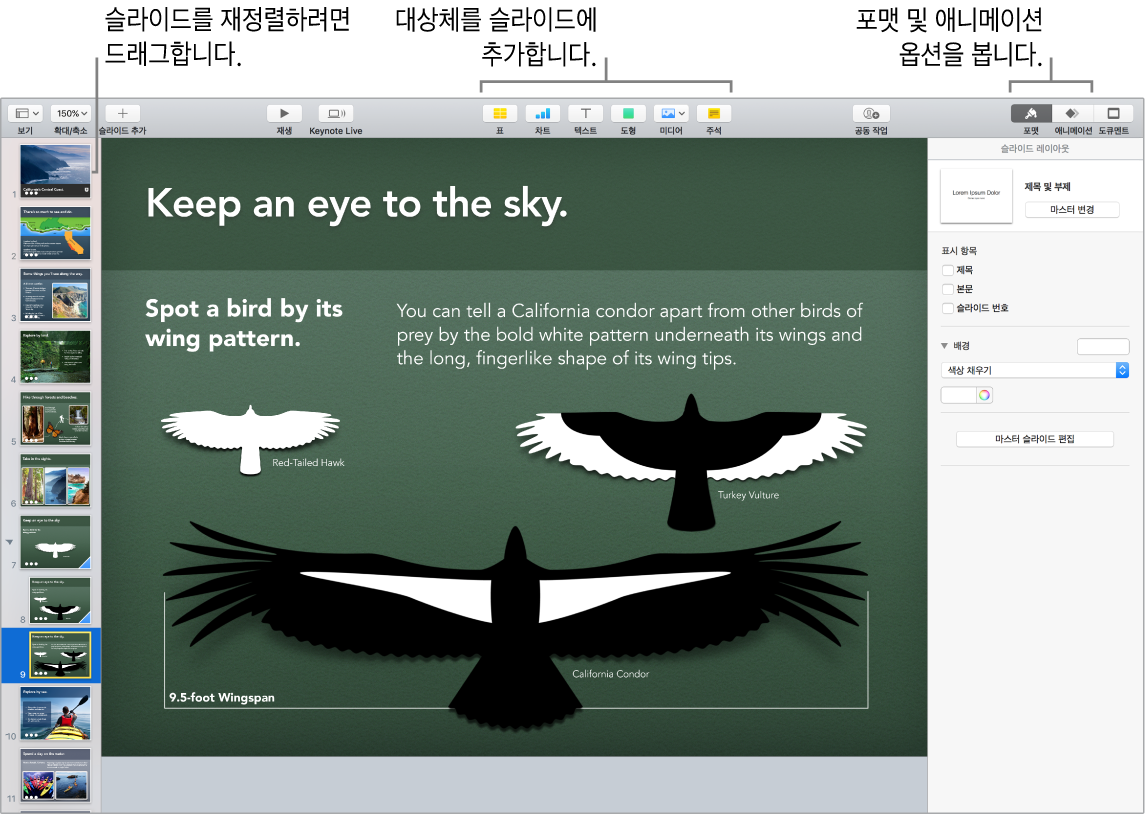 슬라이드 재정렬 방법을 표시하고 슬라이드에 포맷 및 애니메이션 옵션을 포함한 대상체를 추가할 수 있는 버튼을 식별하는 Keynote 윈도우.