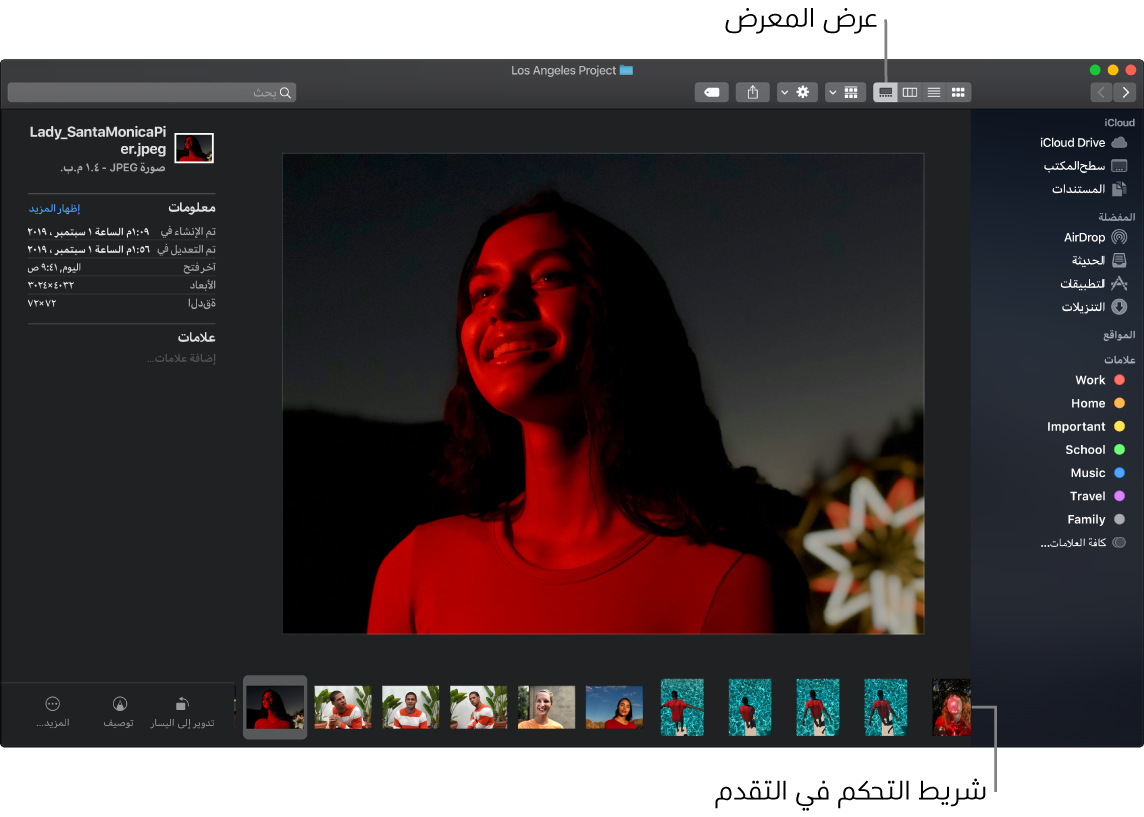 نافذة Finder مفتوحة في عرض المعرض وتظهر فيها صورة كبيرة وأسفلها صف من الصور الصغيرة، وهو شريط التحكم في التقدم. وتظهر على يسار شريط التحكم في التقدم عناصر تحكم للتدوير والتوصيف والمزيد.