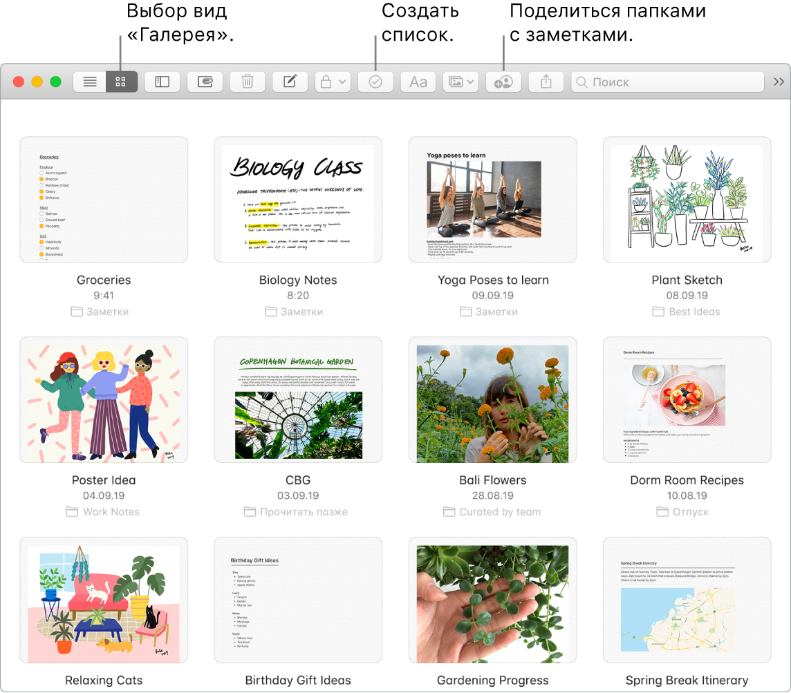 Окно Заметок, в котором показана кнопка режима просмотра «Галерея», кнопка создания списка и кнопка предоставления доступа к папке.