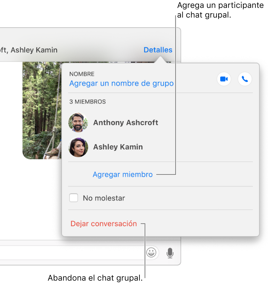 Vista de Detalles, que aparece después de hacer clic en Detalles en una conversación grupal. “Agregar miembro” aparece debajo del nombre del último participante en la lista y “Abandonar esta conversación” se sitúa en la parte inferior del diálogo.