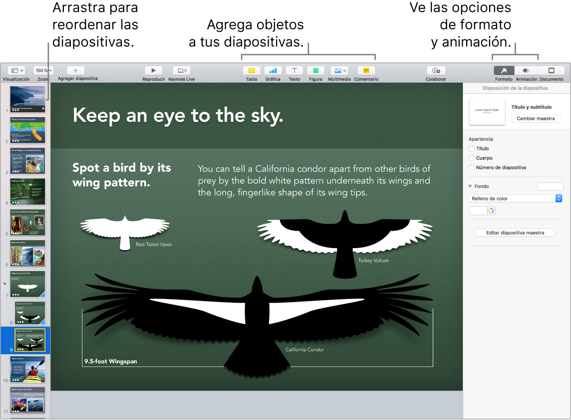 Ventana de Keynote mostrando cómo cambiar el orden de las diapositivas, e identificando los botones que te permiten agregar objetos y diapositivas, incluyendo opciones de formato y animación.