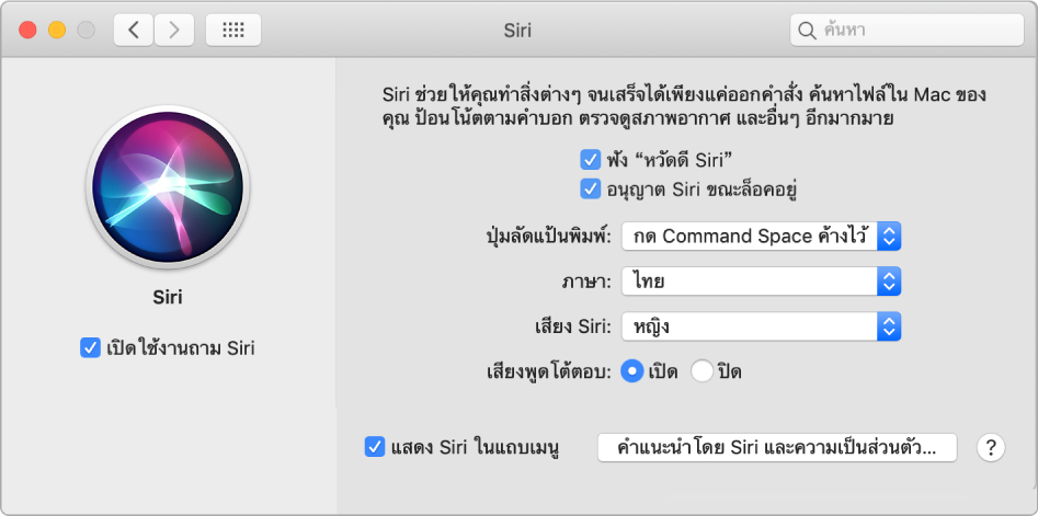 หน้าต่างการตั้งค่า Siri ที่มีกล่องกาเครื่องหมายเปิดใช้งานถาม Siri ถูกเลือกอยู่ด้านซ้าย และตัวเลือกต่างๆ สำหรับปรับแต่ง Siri ด้วยตัวเองอยู่ด้านขวา รวมถึง “ฟังคำว่า ‘หวัดดี Siri’”