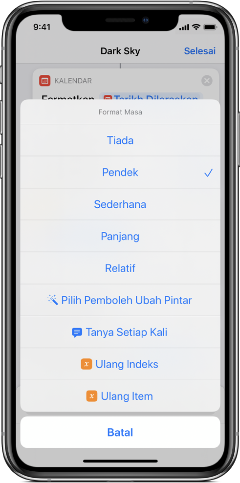 Dialog pilihan Format Masa.