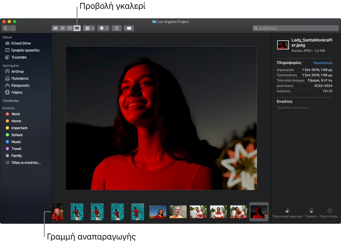 Ένα ανοιχτό παράθυρο του Finder στην Προβολή γκαλερί, το οποίο εμφανίζει μια μεγάλη φωτογραφία με μια σειρά μικρότερων φωτογραφιών –τη γραμμή περιήγησης– κάτω από αυτήν. Χειριστήρια για περιστροφή, σήμανση και πολλά άλλα βρίσκονται στα δεξιά της γραμμής περιήγησης.