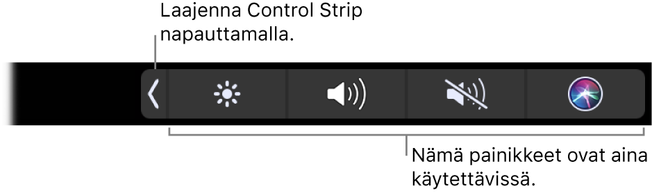 Osittainen näkymä oletuksena olevasta Touch Barista, jossa näkyy pienennetty Control Strip. Näytä koko Control Strip napauttamalla laajennuspainiketta.