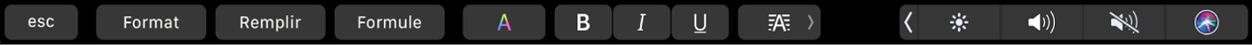 Touch Bar de Numbers affichant des boutons correspondant à la mise en forme, au remplissage automatique et aux formules. Il existe également des boutons de mise en forme de texte : couleur, gras, italique, souligné et alignement.