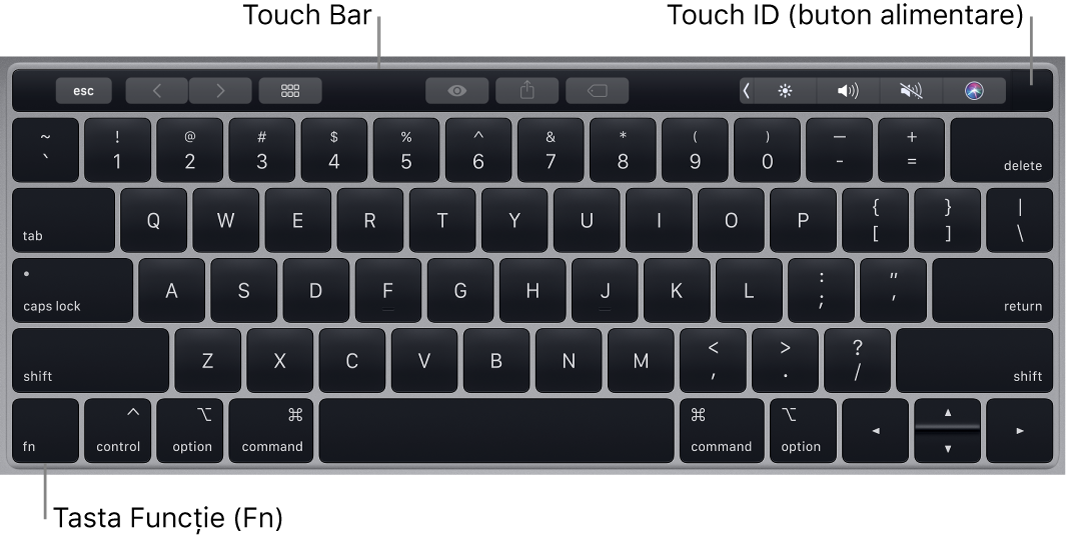 Tastatura MacBook Pro afișând Touch Bar, Touch ID (butonul de alimentare) și tasta funcțională Fn în colțul stânga jos.