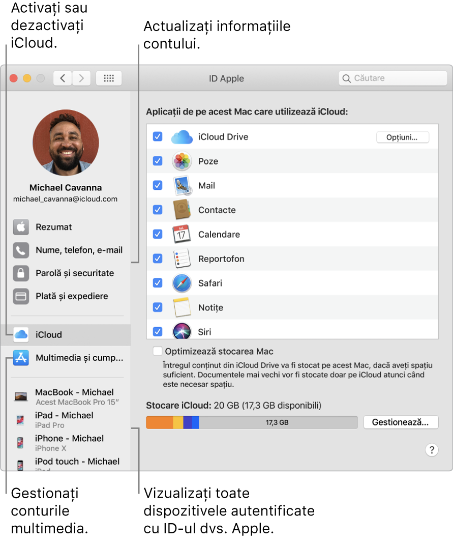 Panoul ID Apple din Preferințe sistem. Faceți clic pe un articol din bara laterală pentru a actualiza informațiile contului dvs., activați sau dezactivați iCloud, gestionați conturile multimedia și vizualizați toate dispozitivele pe care v-ați autentificat cu ID-ul Apple.