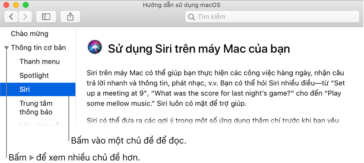 Trình xem Trợ giúp đang minh họa cách xem các chủ đề được liệt kê trong thanh bên và cách hiển thị nội dung của một chủ đề.