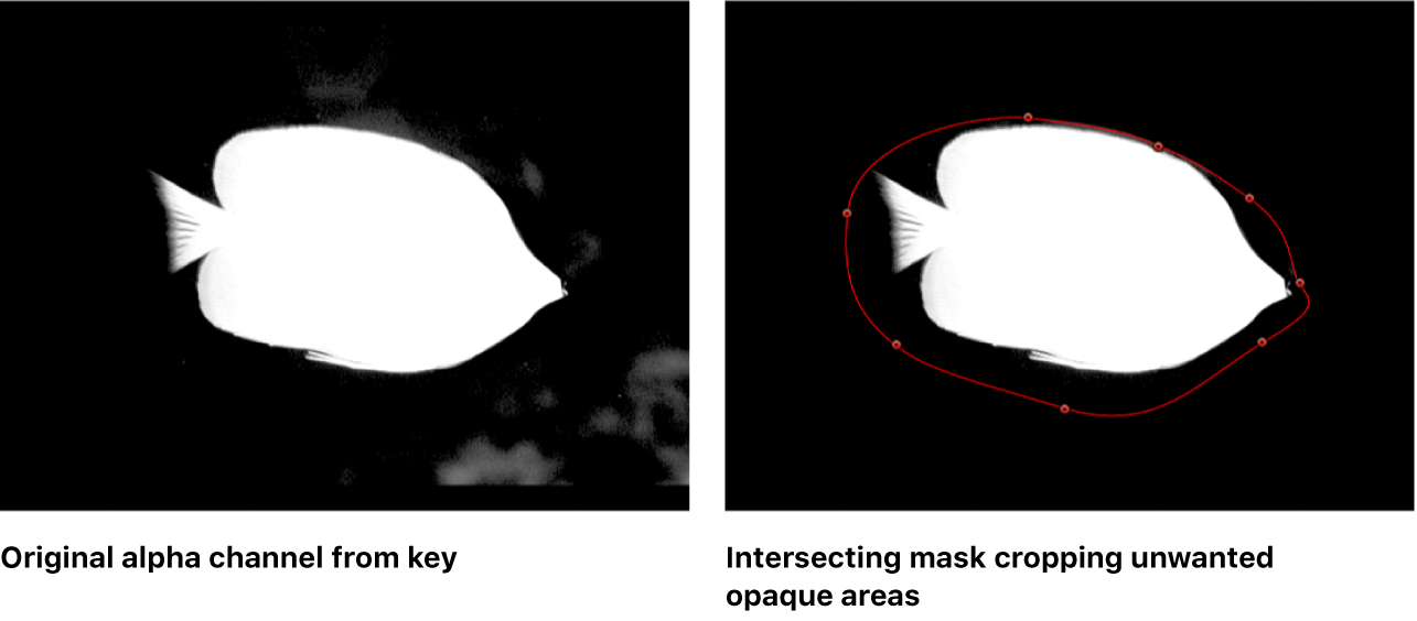 Canvas showing two intersecting masks