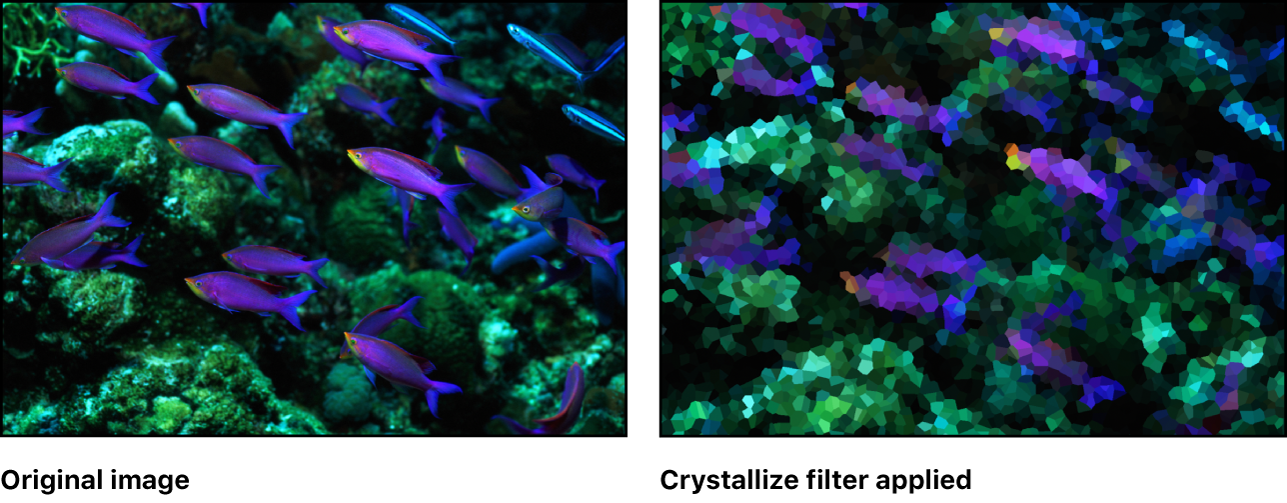 Canvas showing effect of Crystallize filter