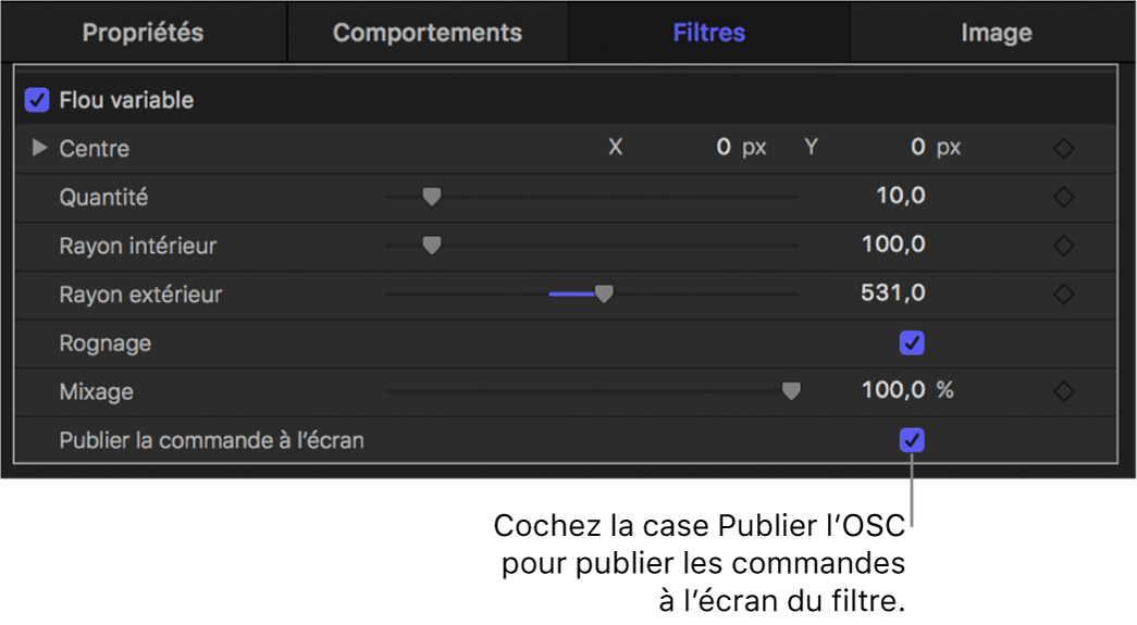 Inspecteur de filtres affichant la case « Publier les commandes à l’écran »