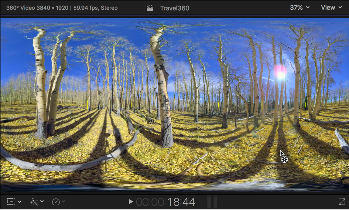 The viewer showing yellow Horizon guidelines over a 360° video clip