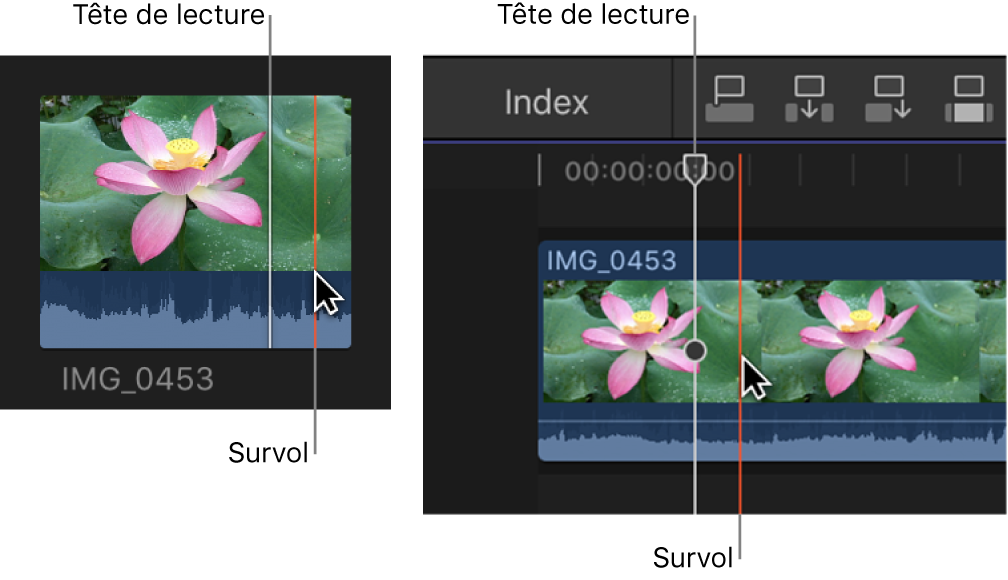 Survol et tête de lecture dans le navigateur et la timeline