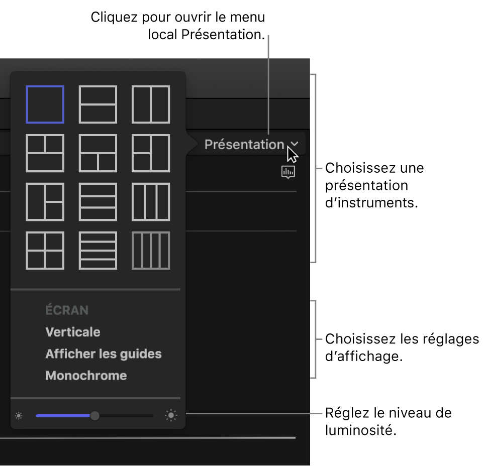 Options du menu local Présentation au-dessus de l’affichage des instruments vidéo