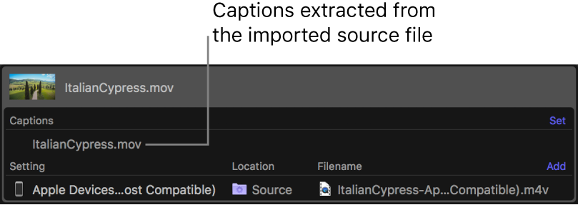 Batch area showing a captions file extracted from the source video file