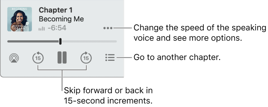 The audiobook player in Apple Books, showing the More Options button (near the top-right corner), the Table of Contents button (near the bottom-right corner), and the Skip Forward and Skip Back buttons (near the lower left and right).