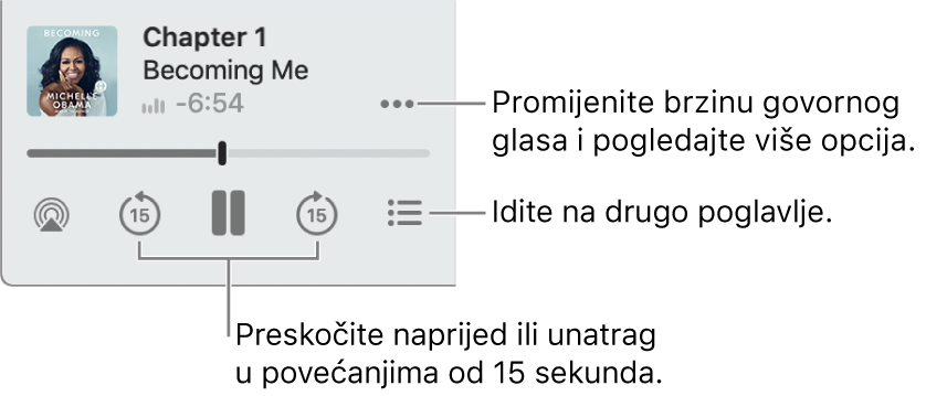 Uređaj za reprodukciju audio knjiga u aplikaciji Knjige s prikazom tipke Više opcija (pored gornjeg desnog kuta), tipke Kazalo sadržaja (pored donjeg desnog kuta) i s tipkama Preskoči unaprijed ili Preskoči unatrag (pored donjeg lijevog i desnog kuta).