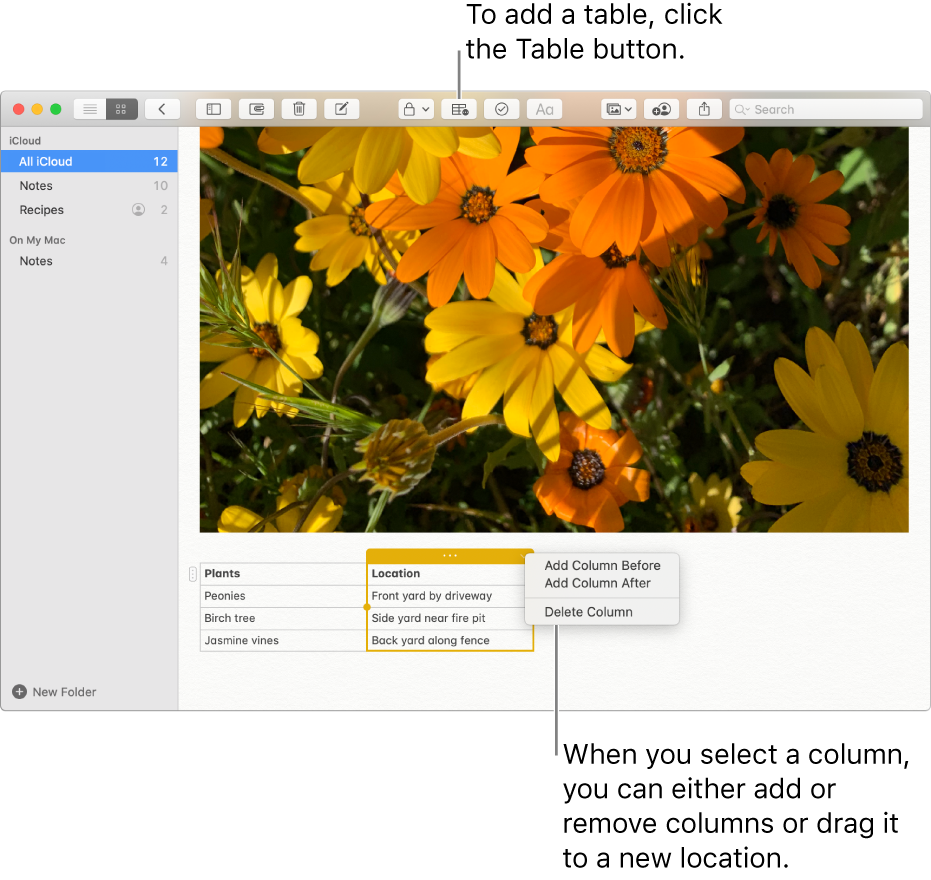 The Notes window showing the Table button—click it to add a table. Within the note content, a table column is selected so you can either add or remove columns or drag it to a new location.