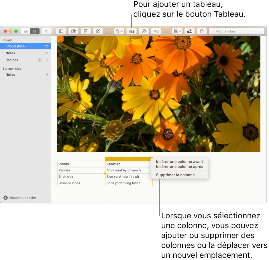 La fenêtre Notes affichant le bouton Tableau. Cliquez dessus pour ajouter un tableau. Dans une note, une colonne de tableau est sélectionnée ; vous pouvez ajouter ou supprimer des colonnes, ou faire glisser la colonne une vers un nouvel emplacement.