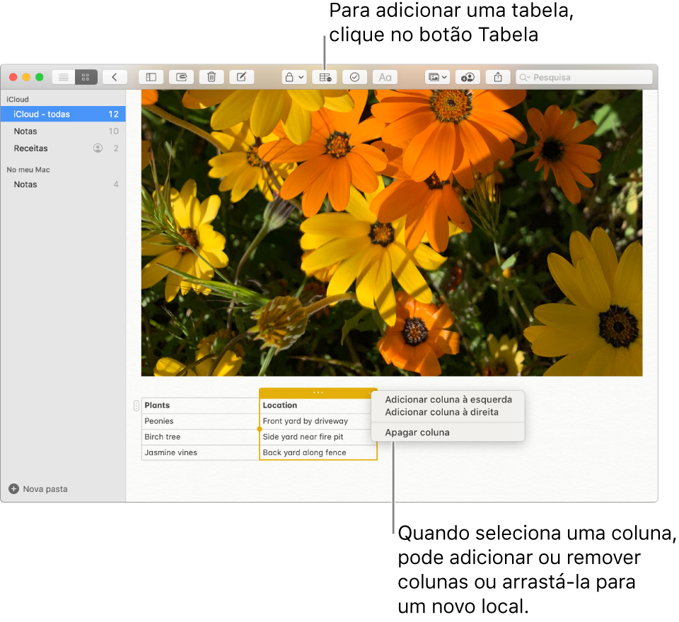 A janela Notas a mostrar o botão Tabela, clique-lhe para adicionar uma tabela. Dentro do conteúdo da nota, é selecionada uma coluna da tabela para que adicione ou remova colunas ou para que a arraste para um novo local.